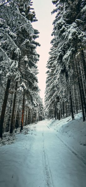 Wandern Bontkirchen Sauerland Winter