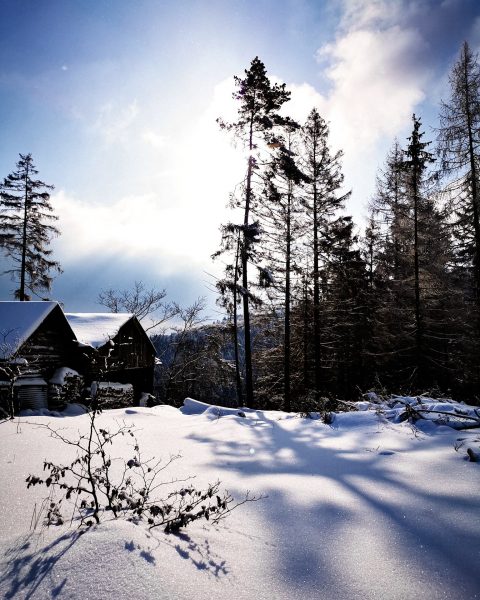 Wandern Bontkirchen Sauerland Winter