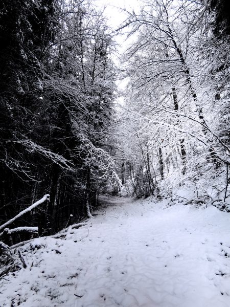 Wandern Bontkirchen Sauerland Winter