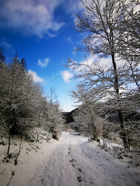 Wandern Bontkirchen Sauerland Winter