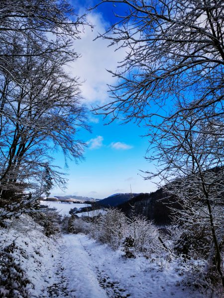 Wandern Bontkirchen Sauerland Winter