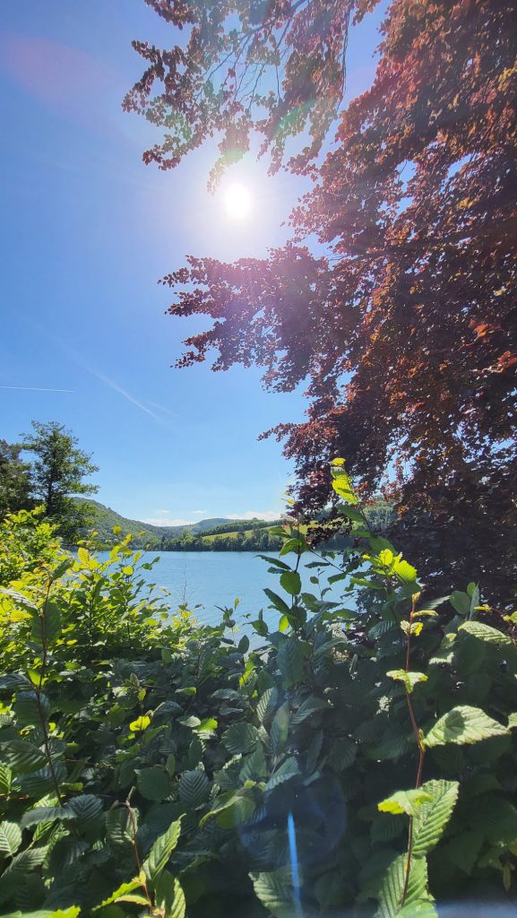 Diemelsee Sommer Bontkirchen